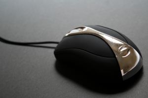 computer%20mouse.jpg