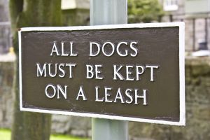 dog%20animal%20bites%20leash%20laws.jpg