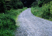 gravel%20road.jpg