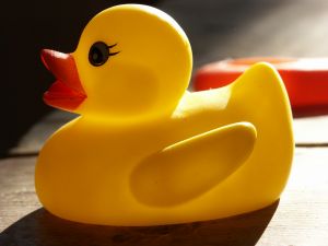 household%20bath%20rubber%20duck%20toy.jpg