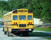 school%20bus%20rear%20view.jpg